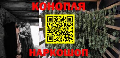 прущие грибы Гусев