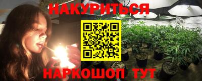 прущие грибы Гусев