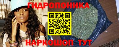 Альфа ПВП Гусиноозёрск